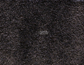 Radici Lord Antracite 142C фото 1 | FLOORDEALER